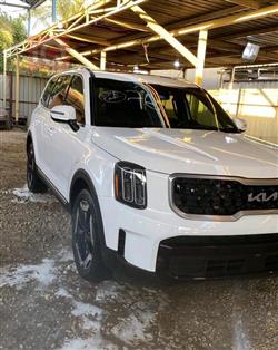 كيا تيلوريد